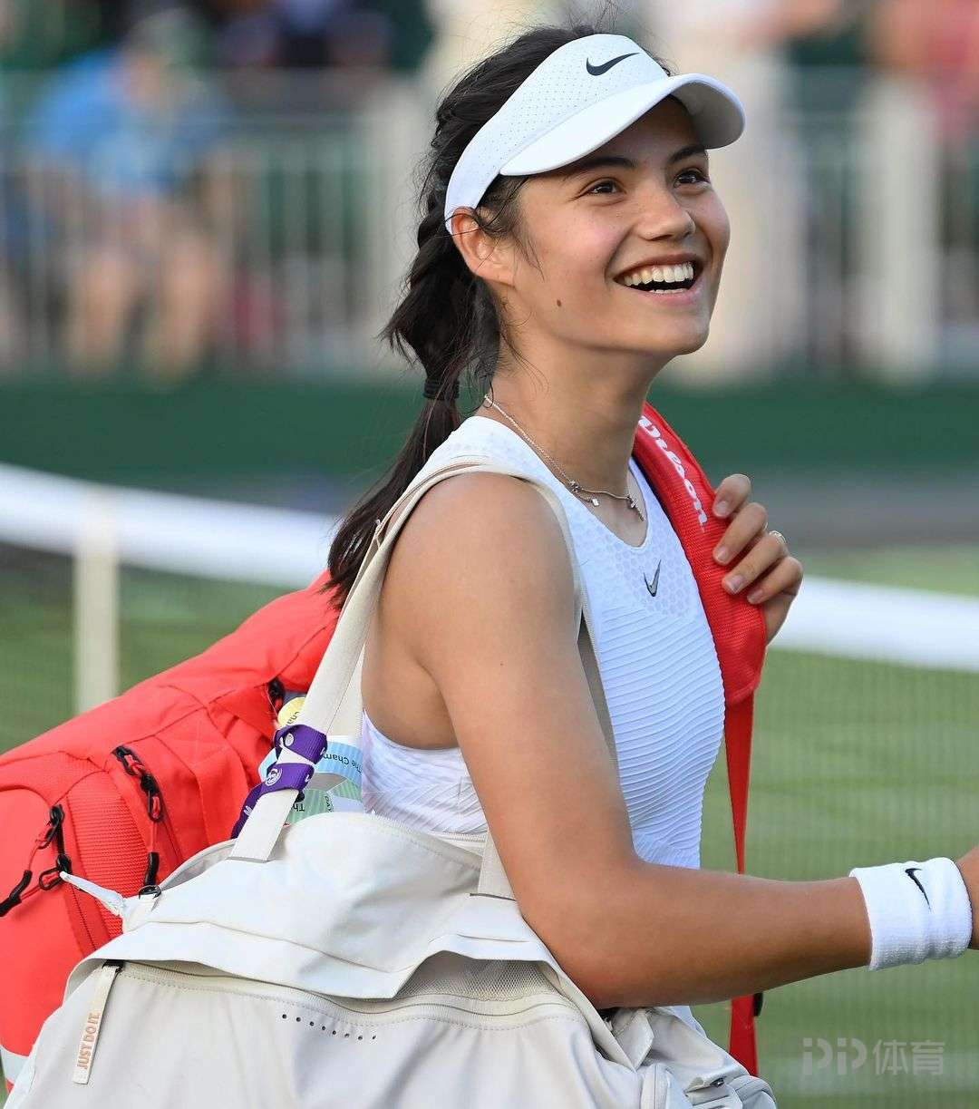 但它同样可 但它同样可